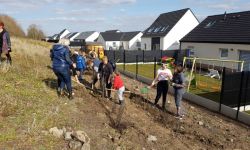 Plantations Cavalier   018